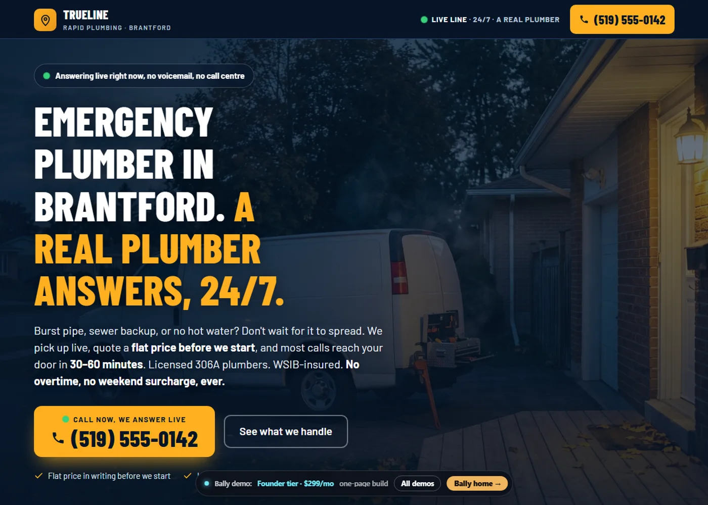 TrueLine Rapid Plumbing homepage
